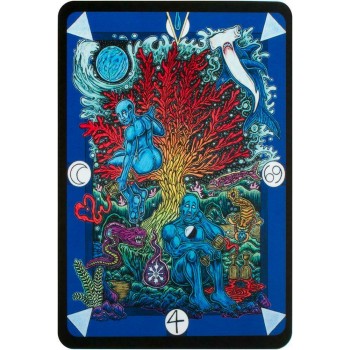 Tarot D: The Didactic Tarot kortos Schiffer Publishing